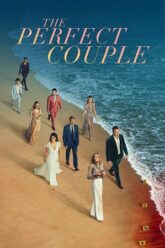 The Perfect Couple (2024) Season 1 Dual Audio {Hindi-English} NetFlix WEB Series 1080p & 720p WEB-DL