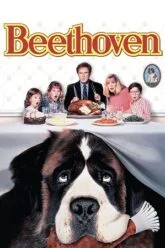Beethoven (1992) BluRay Dual Audio {Hindi-English} 480p [320MB] | 720p [920MB] | 1080p [2GB]